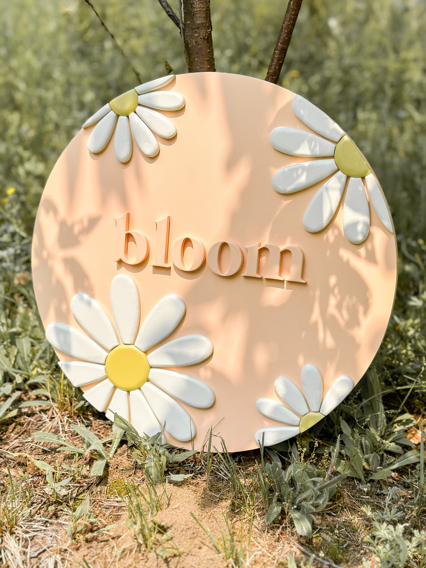 Bloom Daisies